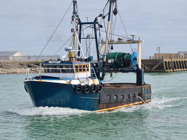 Large picture for advert 113022