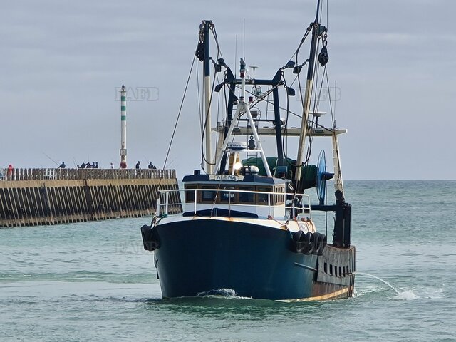 Large picture for advert 113022