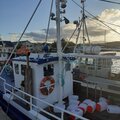 Extra picture for advert 117372