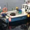 Extra picture for advert 105322